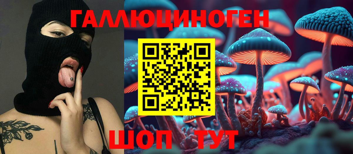 Фрязино  Псилоцибиновые грибы MAGIC MUSHROOMS  Вход с VPN 